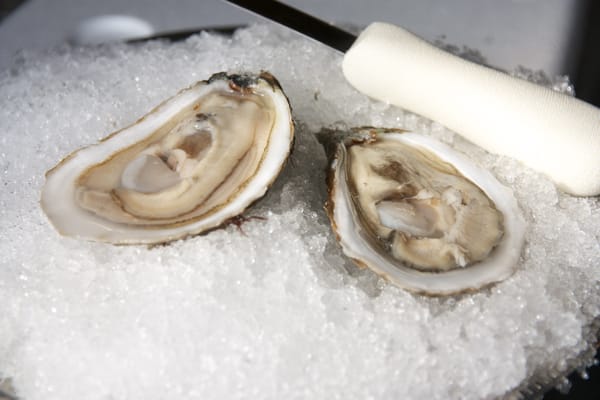 Pangea Shellfish Company