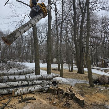 Rostads Tree Service - Tree Services Near Me - Brandon, Minnesota Rostads Tree Service - Tree Services Near Me - Brandon, Minnesota