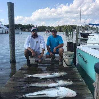 Mills Marina - Marinas Near Me - Seaford, Virginia