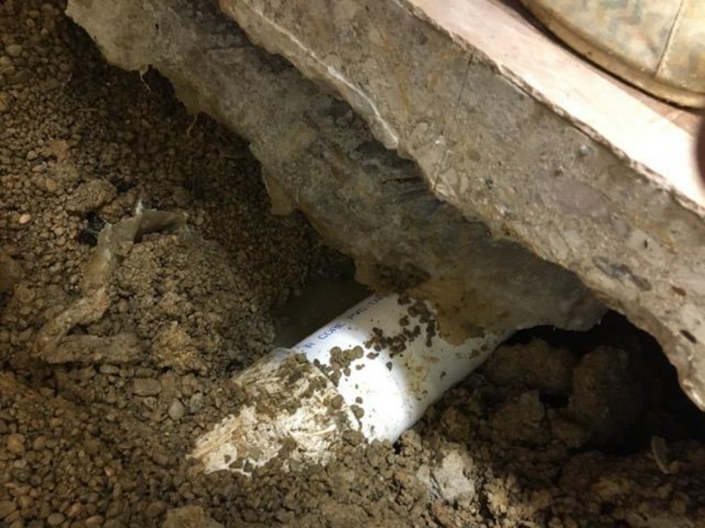 Slide of The Randyman