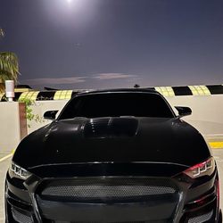 Yata Wraps - hood wrapped gloss black