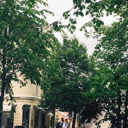 Frederiksberg Allé - Grønt og hyggeligt! Flotte frederiksberg