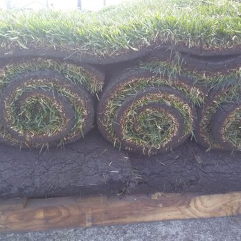 SodLawn - Lawn Services Near Me SodLawn - Lawn Services Near Me