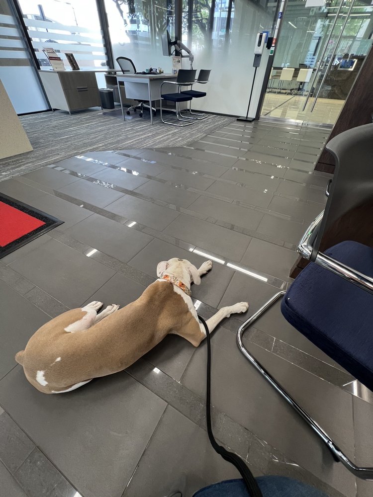 PACIFIC PREMIER BANK 13 Photos 790 East Colorado Blvd, Pasadena