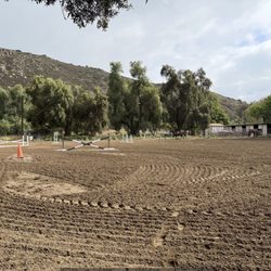 Willow Glen Equestrian - Jump, dressage arena