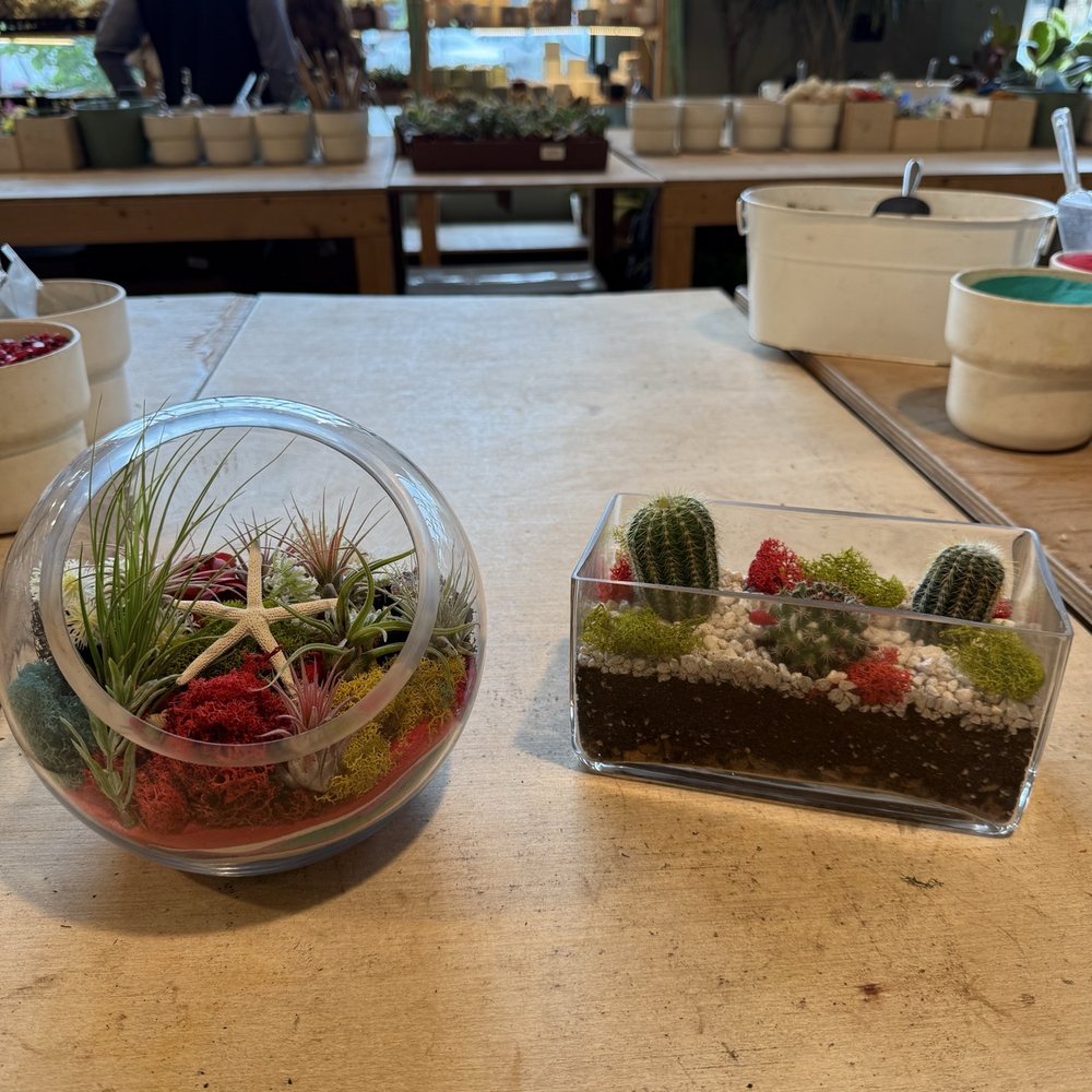 PlantHouse - Mother's Day terrarium - Nurseries & Gardening Near Me - Charlotte, North Carolina PlantHouse - Mother's Day terrarium - Nurseries & Gardening Near Me - Charlotte, North Carolina
