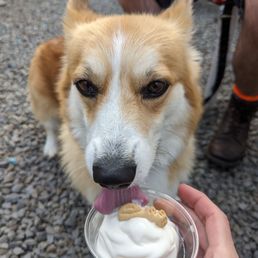 Pup sundae for a hot dog