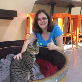 Orlando Cat Cafe - Animal Shelters Near Me - Clermont, Florida Orlando Cat Cafe - Animal Shelters Near Me - Clermont, Florida