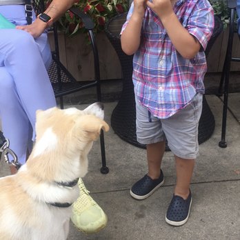 Liberty's Bar & Bottle - a little boy and a dog - Wine Bars Near Me - Cincinnati, Ohio Liberty's Bar & Bottle - a little boy and a dog - Wine Bars Near Me - Cincinnati, Ohio