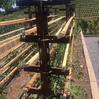 A Rafanelli Winery - Tomato trellis - Wineries Near Me - Healdsburg, California A Rafanelli Winery - Tomato trellis - Wineries Near Me - Healdsburg, California