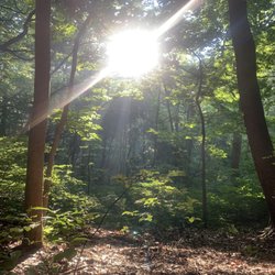 Breathe Body Soul