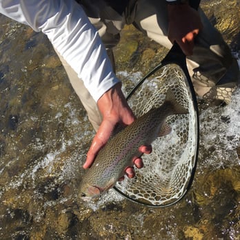 Arrick's Fly Shop - Tours Near Me - West Yellowstone, Montana