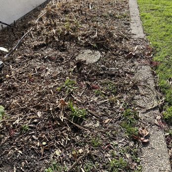 Santibañez Lanscaping - a patch of grass and weeds in front of a house - Landscaping Near Me Santibañez Lanscaping - a patch of grass and weeds in front of a house - Landscaping Near Me