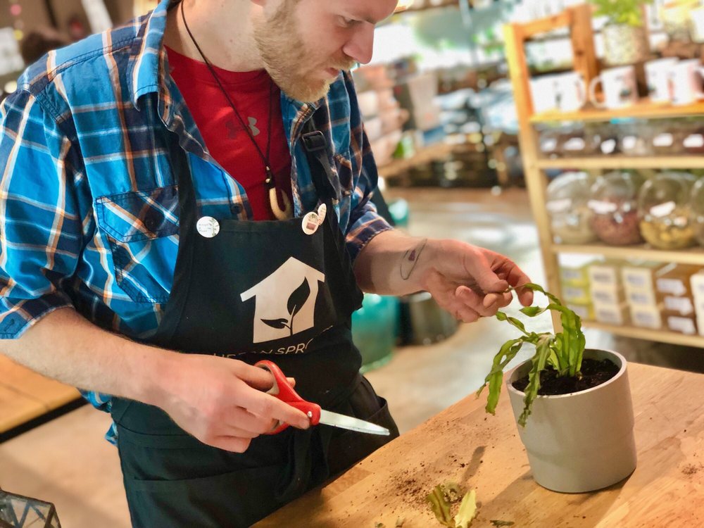 URBAN SPROUTS 208 Photos & 99 Reviews 724 S 3rd St, Renton, WA Yelp