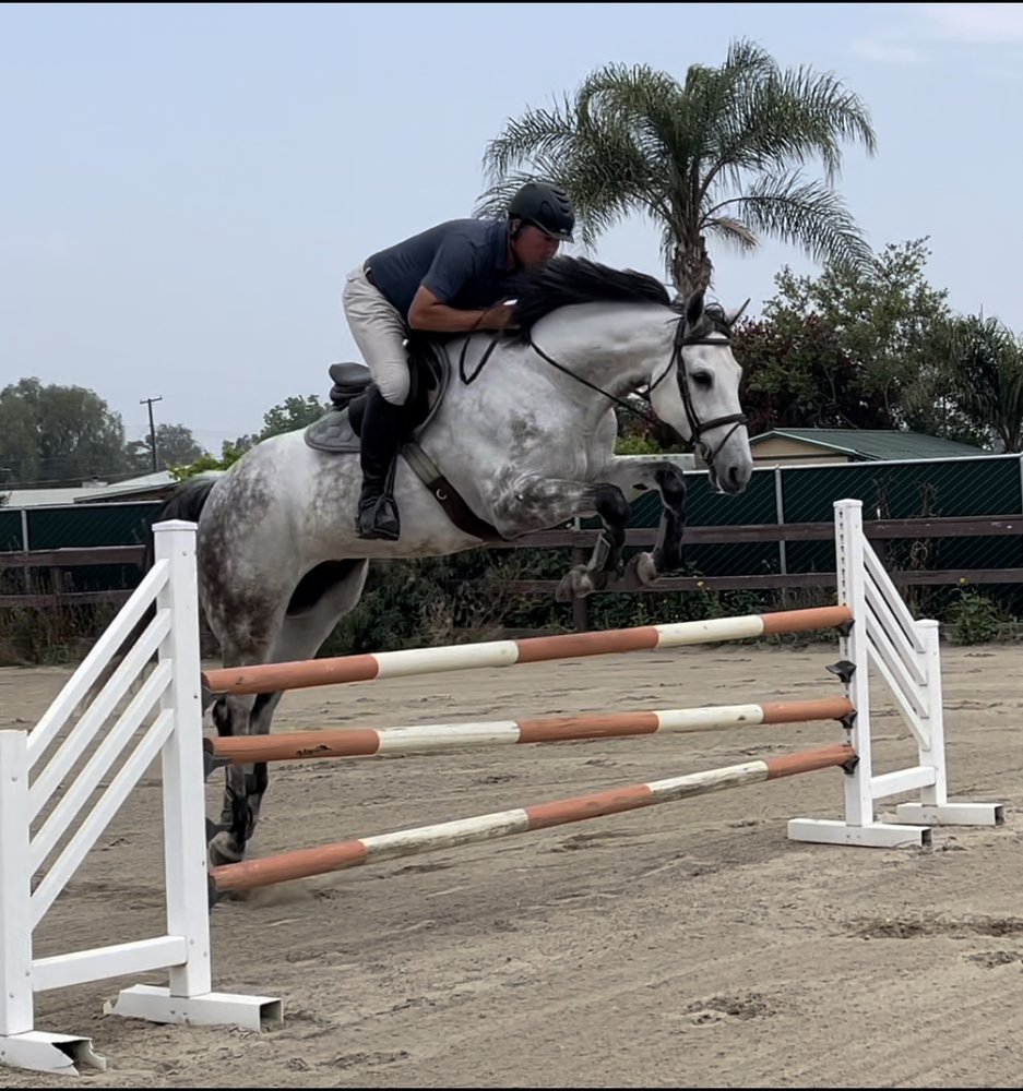 J&S EQUINE Updated July 2024 3563 Pedley Ave, Norco, California