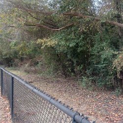 Auburn Parks & Recreation - Some of that beautiful Forest they're protecting the dogs from