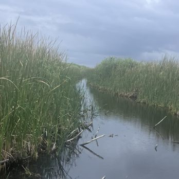 Swamp Monster Airboat Tours - Boat Tours Near Me - Pompano, Florida Swamp Monster Airboat Tours - Boat Tours Near Me - Pompano, Florida