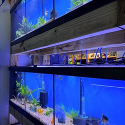 Austin Aqua-Dome - Inside