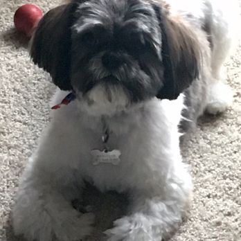 Lakeside Pet Spa - Pet Groomers Near Me - Plano, Texas Lakeside Pet Spa - Pet Groomers Near Me - Plano, Texas