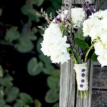 Amber Sycz Photography - Photographers Near Me