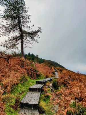 Glendalough by null