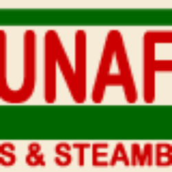 Saunafin