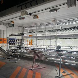 Mango Tech
