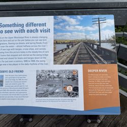 Swing Bridge Park
