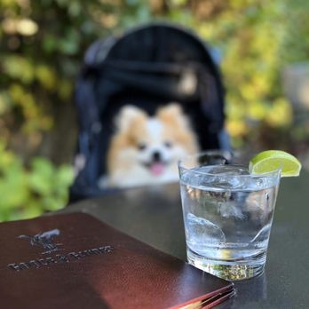 Goose & Gander - Fortaleza Blanco, double ($28) - New American Near Me - Saint Helena, California Goose & Gander - Fortaleza Blanco, double ($28) - New American Near Me - Saint Helena, California