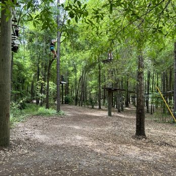 Orlando Tree Trek - Challenge Courses Near Me - Kissimmee, Florida Orlando Tree Trek - Challenge Courses Near Me - Kissimmee, Florida