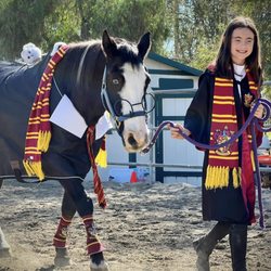 Prado Park Equestrian Center