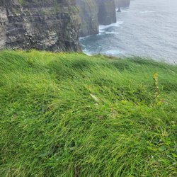 Peter Mooney Tours & Executive Travel - Cliffs of Moher