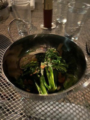 Fancy Plants Kitchen by null