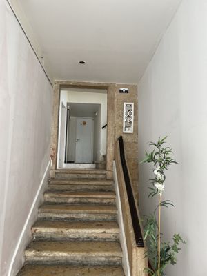 Cardamomo leiria by null