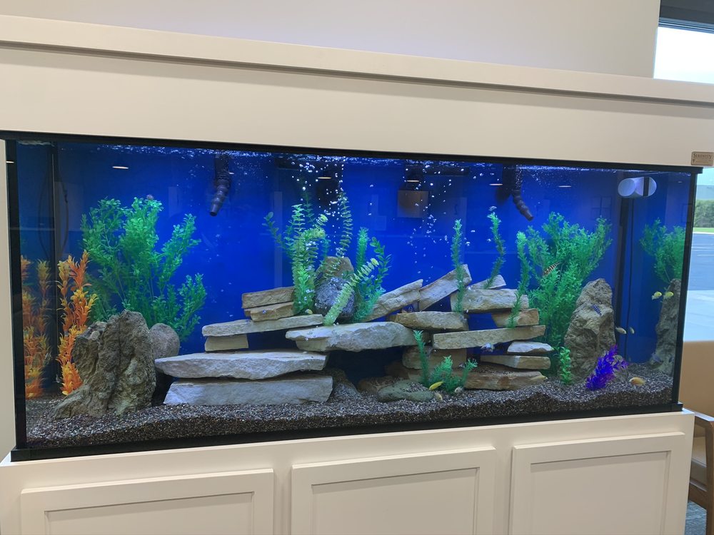 Catalpa Health - grief counselor in Appleton, WI