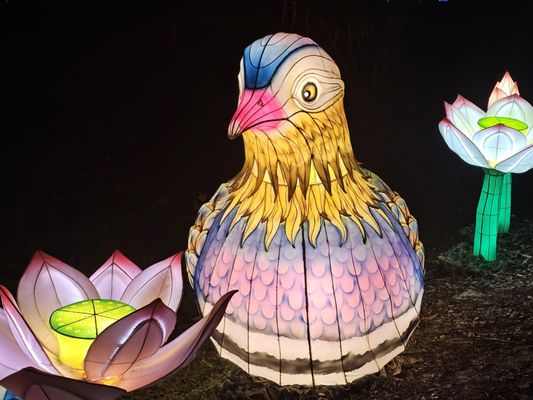 Mounts Botanical Garden by null