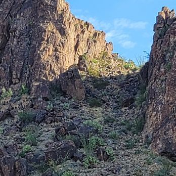 Big Bend Jeep - Car Rental Near Me - Terlingua, Texas