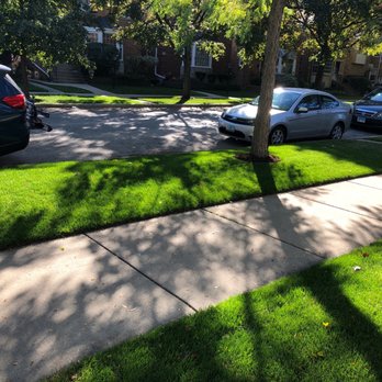 Busch Landscape inc - Parkway lawn. - Landscaping Near Me - Evanston, Illinois