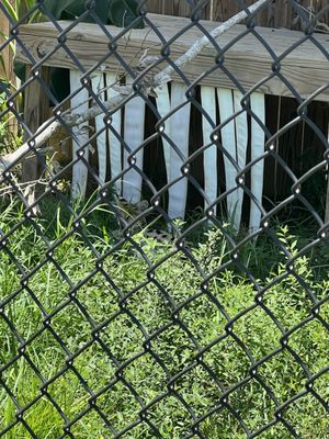 Alabama Gulf Coast Zoo by null