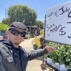Certified Plant Growers - Great specials