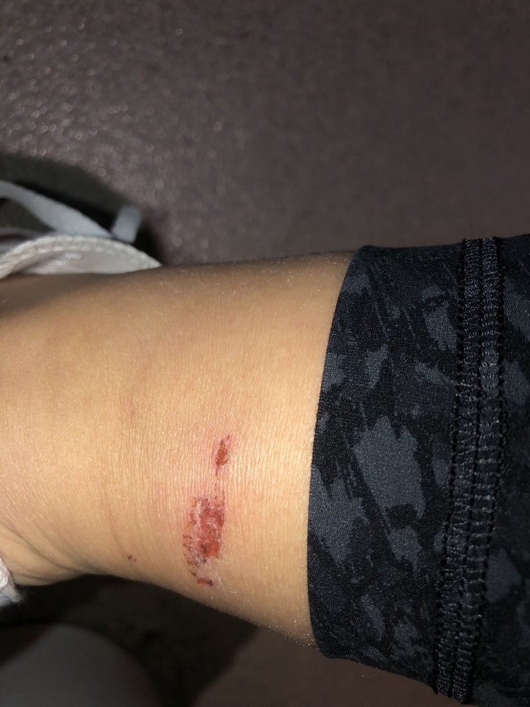 NAILS FIRST Updated August 2024 14 Reviews 2269 Gallatin Pike N