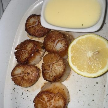 Ocean 48 - Sea scallops $59 - Seafood Near Me - Newport Beach, California Ocean 48 - Sea scallops $59 - Seafood Near Me - Newport Beach, California