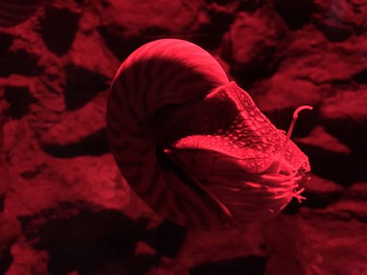 SEA LIFE Konstanz by null