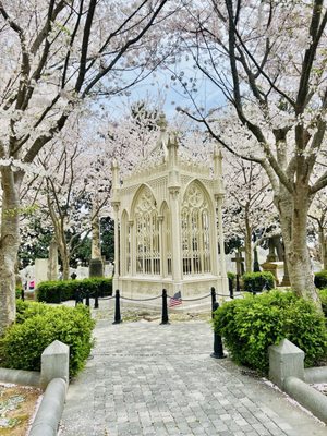 Hollywood Cemetery by null