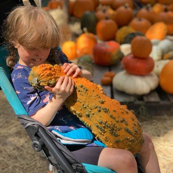 Partin Ranch - Pumpkin patch with a cool variety! - Kids Activities Near Me - Kenansville, Florida