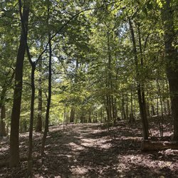 Winkler Botanical Preserve - A trail at the winkler nature preserve