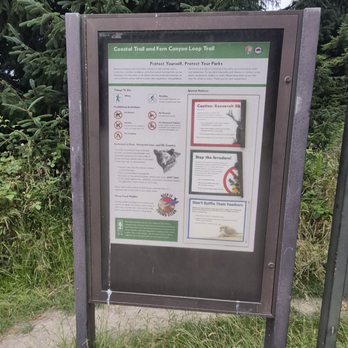 Fern Canyon Trailhead - Parks Near Me