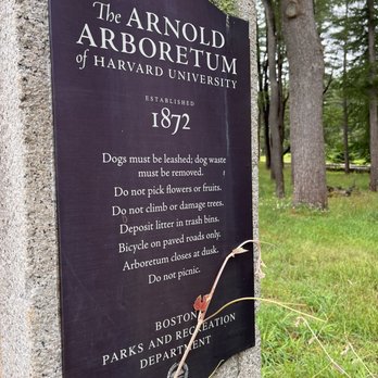Arnold Arboretum - Arnold Arboretum - Parks Near Me - Boston, Massachusetts