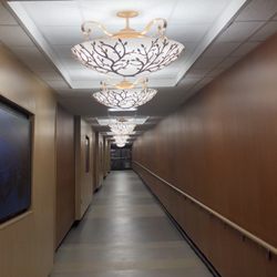 CARILION ROANOKE MEMORIAL HOSPITAL - 11 Photos & 31 Reviews - 1906