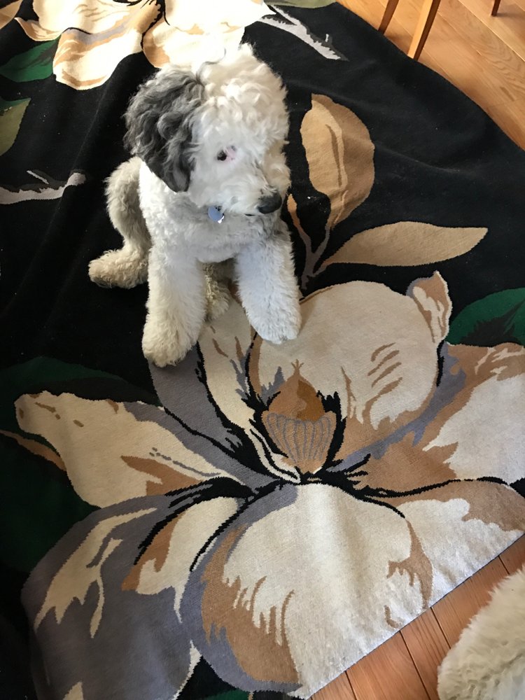 THE RUG COMPANY Updated May 2024 219 E 59th St, New York, New York